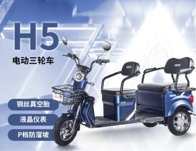 60V500W Passenger Electric Three Wheeler with Low Speed