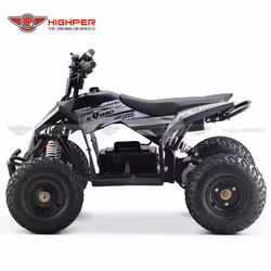 Electric Mini ATV 4 Wheeler for Kids Quad Bike 1000W36V/1300W 48V