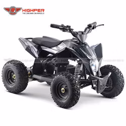 Electric Mini ATV 4 Wheeler for Kids Quad Bike 1000W36V/1300W 48V