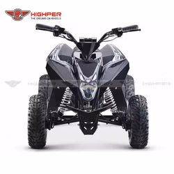 Electric Mini ATV 4 Wheeler for Kids Quad Bike 1000W36V/1300W 48V