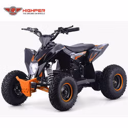 Electric Mini ATV 4 Wheeler for Kids Quad Bike 1000W36V/1300W 48V