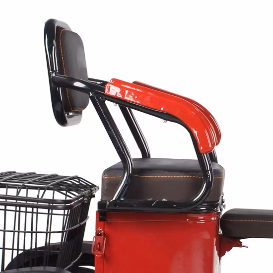 Electric Tricycle Three Wheeler with Roof and Rain Cover