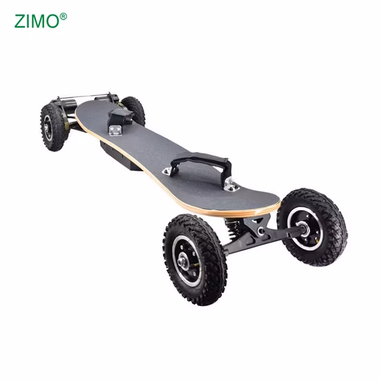 Longboard Electric Skateboard